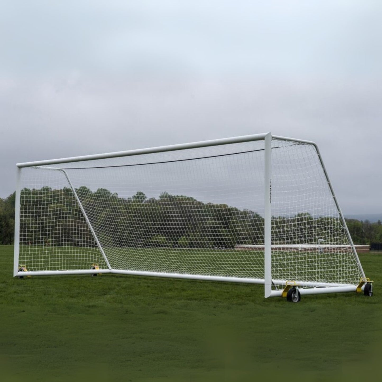 Fusion® Max Goal