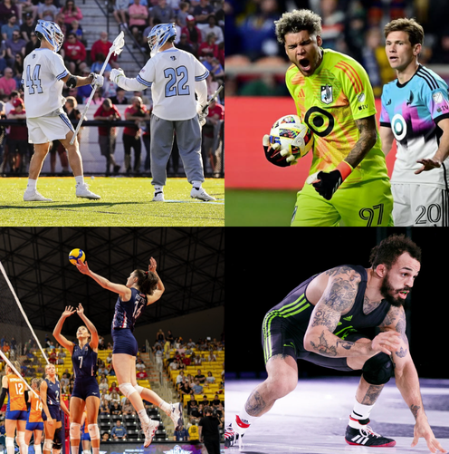 View All Sports